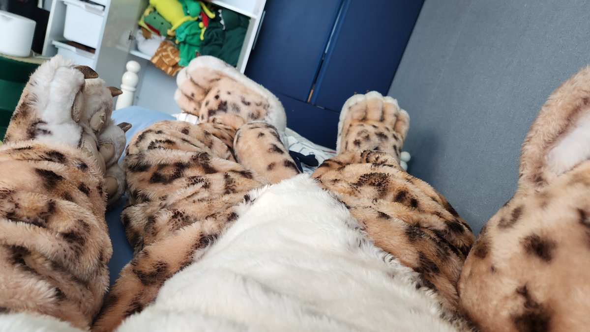 Kigulover_'s tweet photo. Euphoria /juˈfɔr i ə/ - a feeling of waking up to a cold morning all cozied up in a big furry mascot  😶‍🌫️😶‍🌫️ https://t.co/OFdgstbtji
