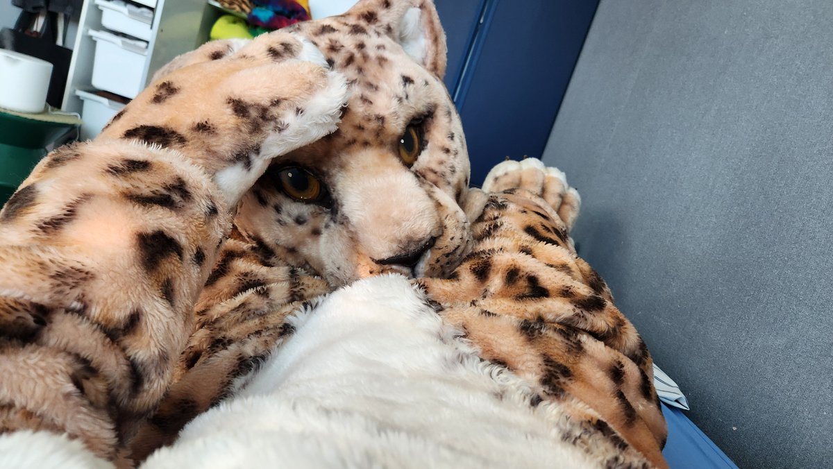 Kigulover_'s tweet photo. Euphoria /juˈfɔr i ə/ - a feeling of waking up to a cold morning all cozied up in a big furry mascot  😶‍🌫️😶‍🌫️ https://t.co/OFdgstbtji