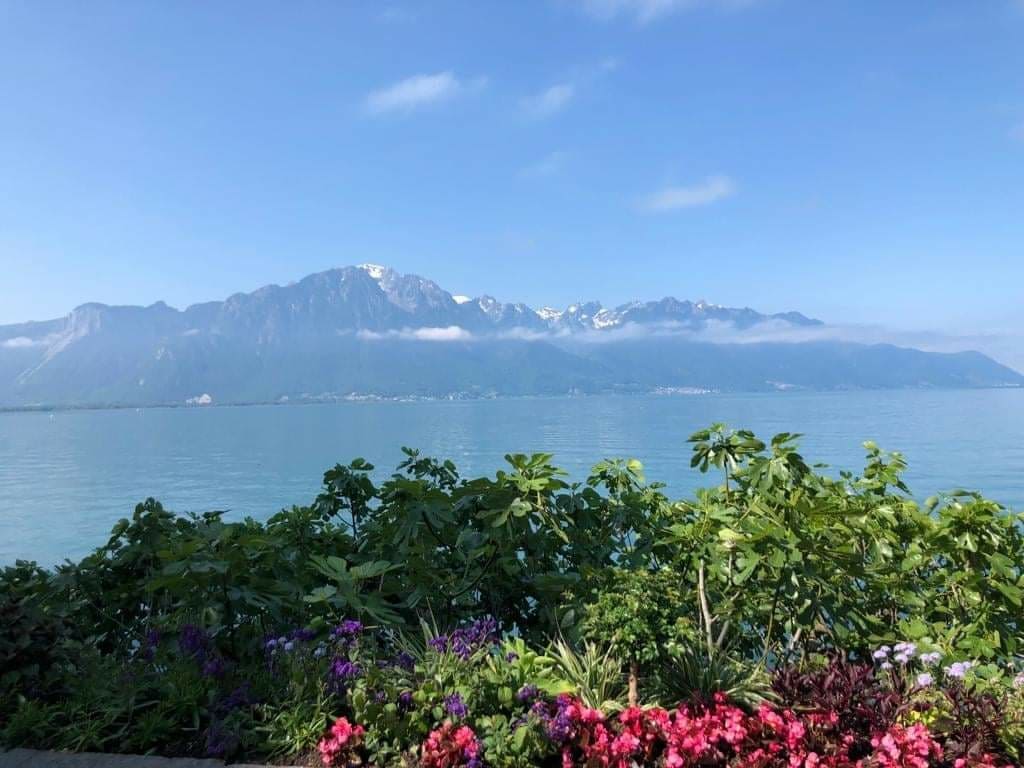 CHIKAVERO's tweet photo. Switzerland is perfect for a healthy, relaxing getaway. @jackienaylor and I biked, walked, went wild swimming, and got stuck in a field with ginger cows. A lovely trip with a great friend. https://t.co/EL8RYa7xTZ