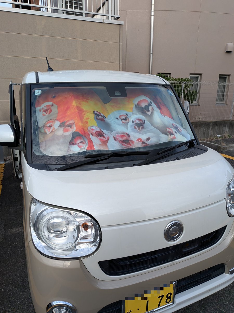 mamenana2074's tweet photo. ファイトー！
しゅっぱーつ！ https://t.co/s3ybZuypMx