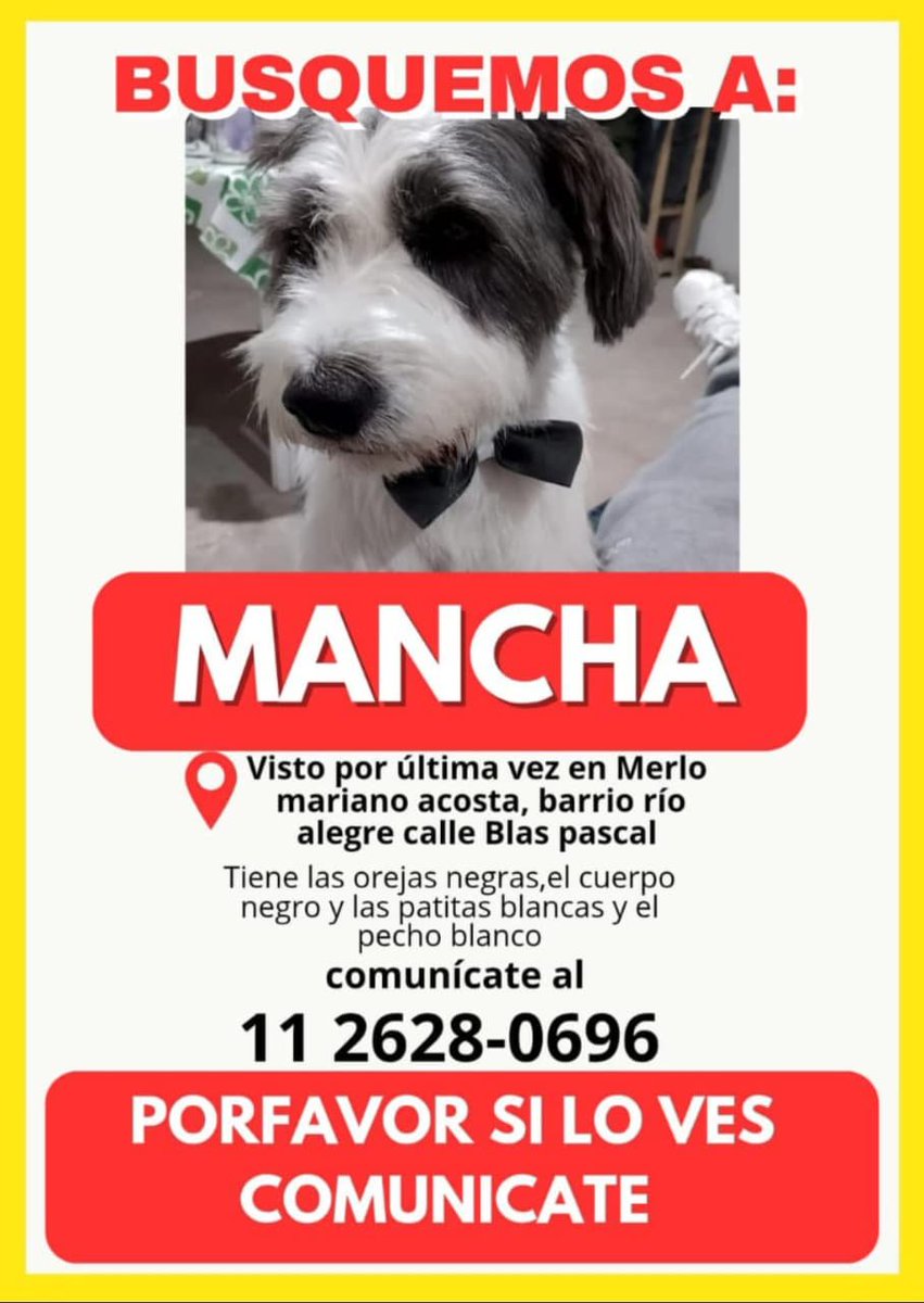 patripeyrou's tweet photo. Rt
Recompensa https://t.co/MDHWmGZ5o9