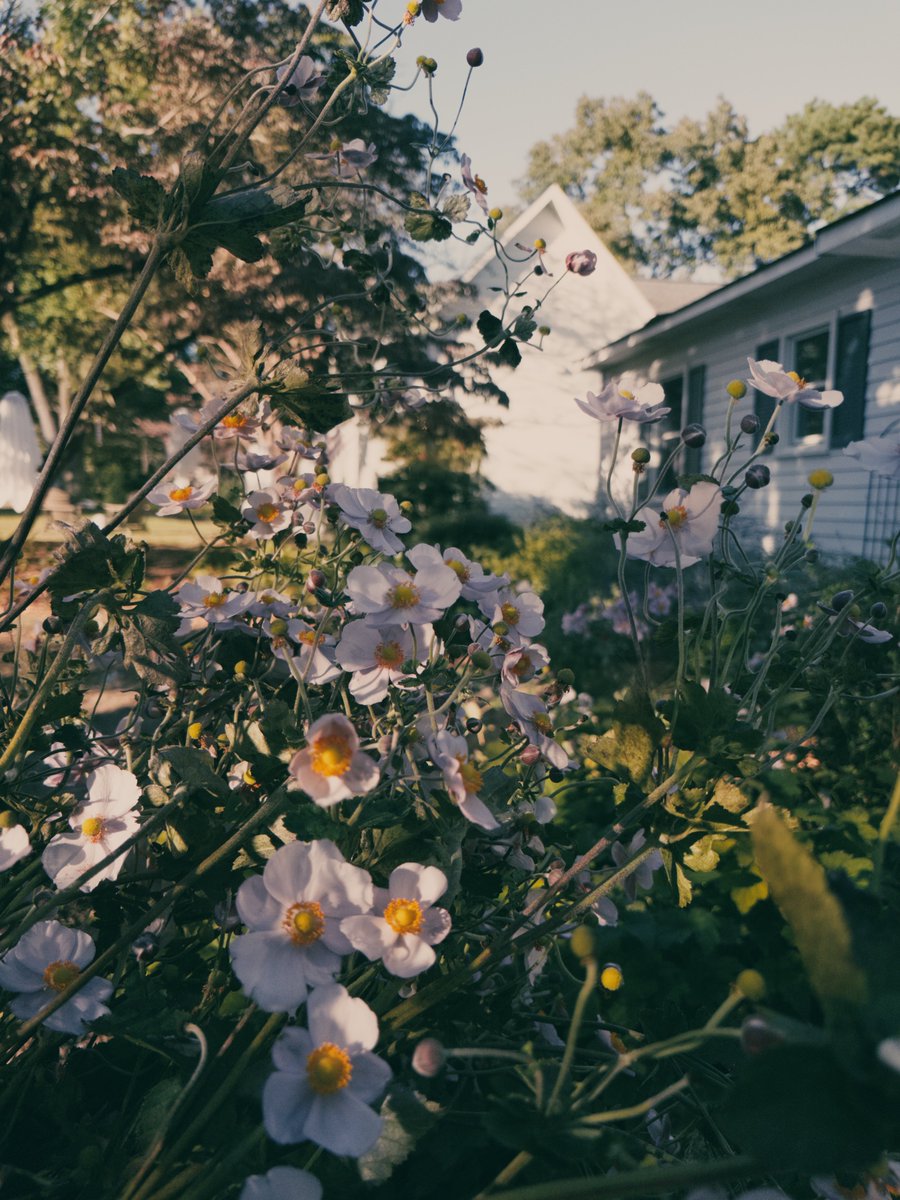 alyssaleann's tweet photo. playing with @camera_nocta https://t.co/EcidHeHcpZ