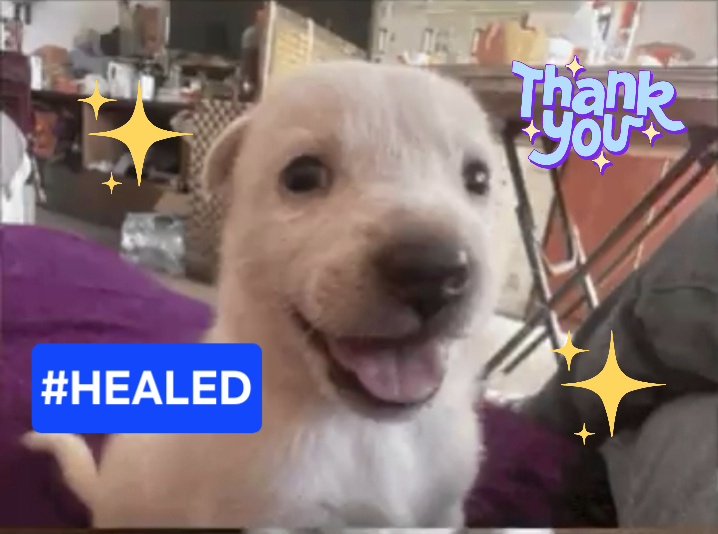 JessDoesNotFly's tweet photo. @avatarkorrafan3 WE ARE ALL #BLESSED https://t.co/GJhvFmnBwb