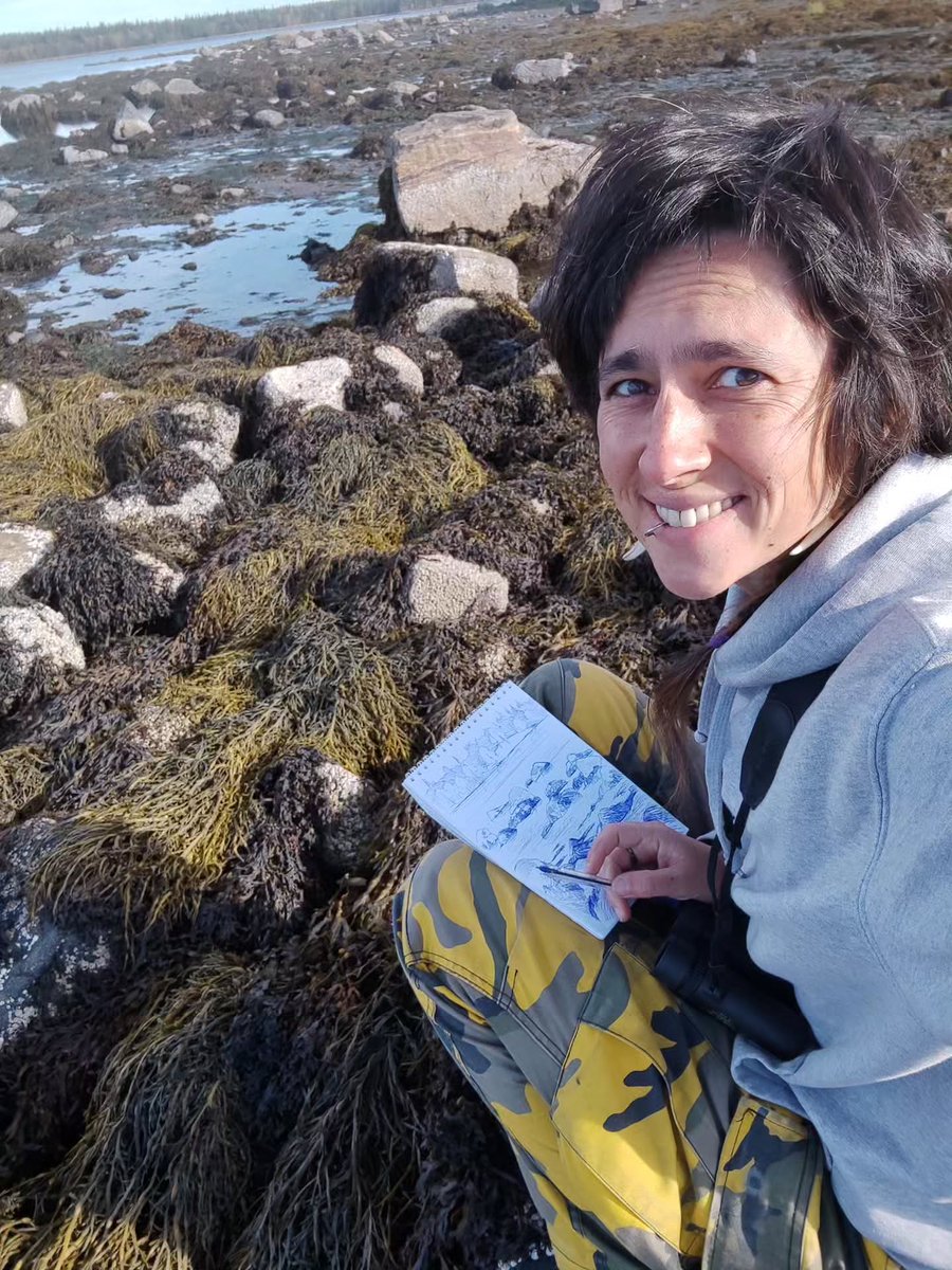 BaezChito's tweet photo. I’m at the White Sea coast, ready to paint it all. It’s cold for a tropical creature like me, but autumn is pure flame here: orange, red and yellow. Day one brought sun and sketches. Tomorrow: watercolors. https://t.co/fCFqFcjiwl