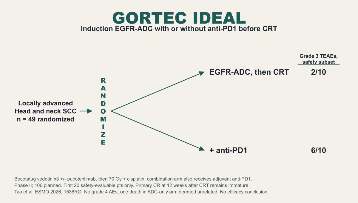 Jeff Ryckman ESMO 2026 slide: GORTEC IDEAL