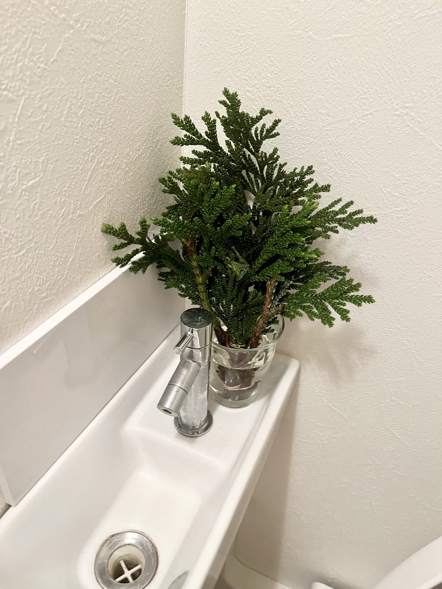 kurutokyo's tweet photo. 生まれて初めて、トイレに飾りを設けた https://t.co/jR95vExISA