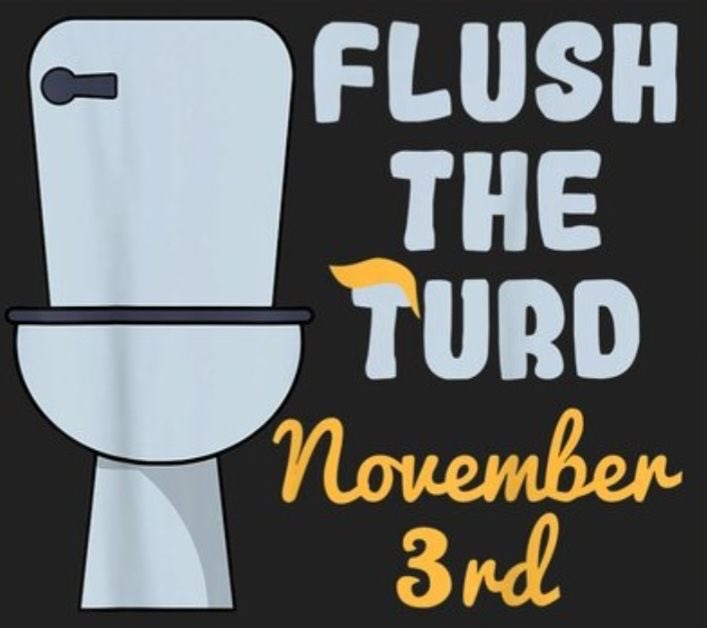 LakerPatrick2's tweet photo. Trump isn’t on the ballot, but his enablers are. November 3: Vote blue and give Congress a much-needed courtesy flush. 🚽🗳️💙 So, don’t forget to…… https://t.co/lMtJajSl1A