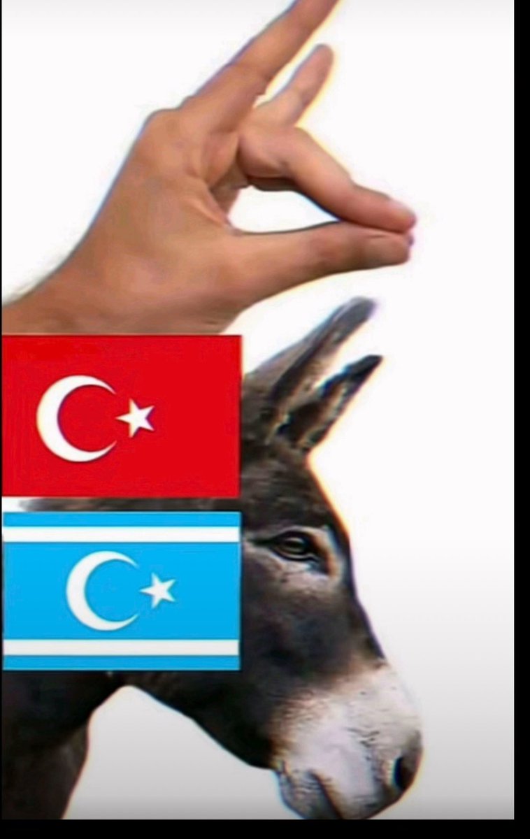 pwya123451663's tweet photo. @derbas65 Turkey 🦃🦃🦃🦃 https://t.co/Fqsec3F9wM