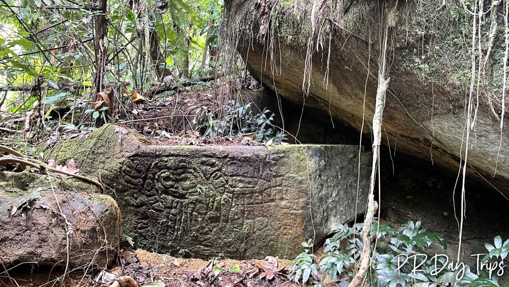 PRDayTrips's tweet photo. Time to Dream About #PuertoRico - El Yunque Treasures (from 2022) #estaesmiisla https://t.co/WVkNeC4O8B