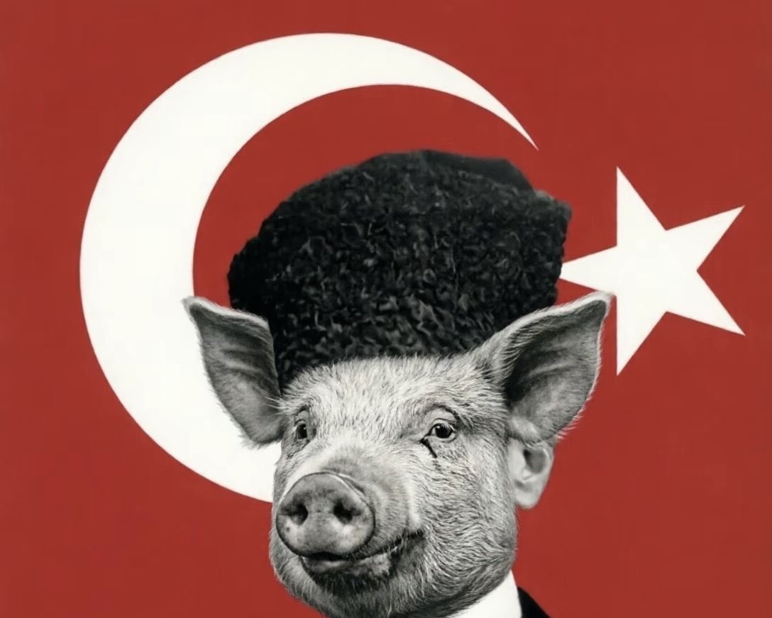China18964's tweet photo. İlginç bir bilgi: Türkler arasında ensest oranı yüzde 20’e kadar çıkıyor 😂😂 https://t.co/j7YDxMaCBP