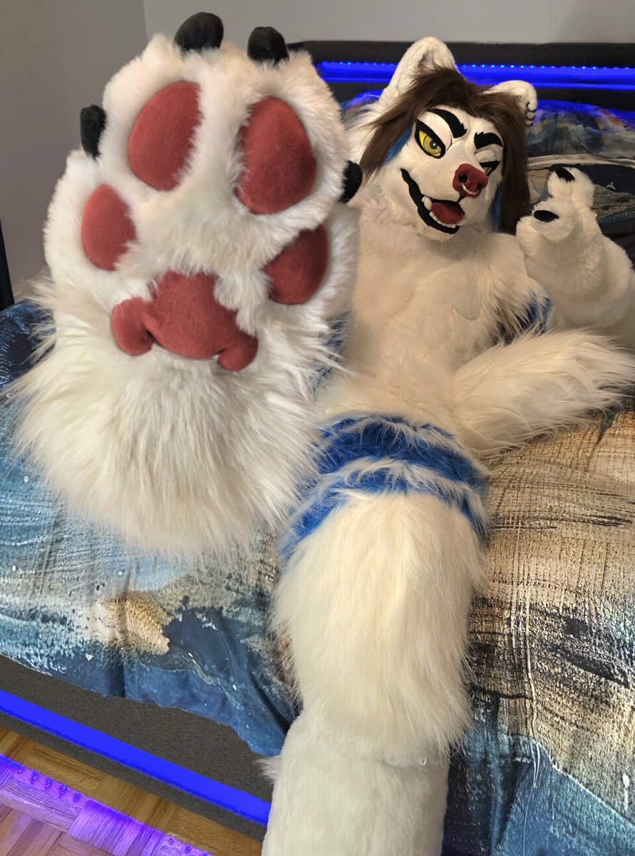 ClumzyLion's tweet photo. "Talk to the paw!" 🐾 🐺 
📷 @peppermuzz #Furry #fursuit #paw #midnightmakers #werewolf https://t.co/JheEdyJaUl