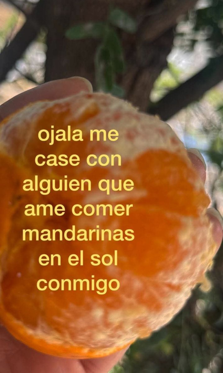 minidramatica tweet picture