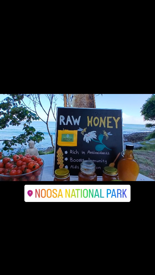 dtfdaws's tweet photo. By the ocean, we grow, make, and share real food with respect. Organic produce, handmade ginger and turmeric shots, raw honey, and pineapple-passionfruit kefirs, all made with care. https://t.co/uvqfaumtPt