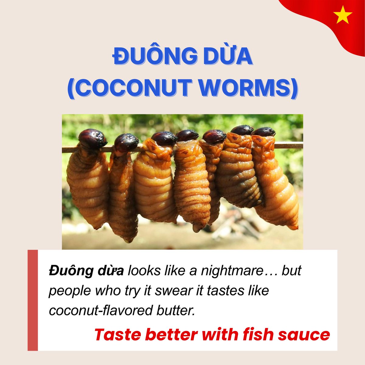 priturazzi's tweet photo. 5 món Việt bị đánh giá thấp nhưng đáng thử: đuông dừa, tiết canh, bún đậu mắm tôm, trứng vịt lộn và ốc. Có thể gây e ngại ban đầu, nhưng hương vị đậm đà khiến nhiều người mê ngay từ lần thử đầu. https://t.co/qq5rY6epPe