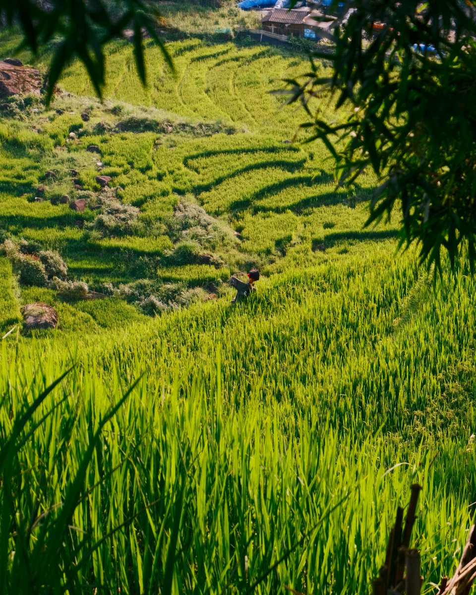 rafael_bpg's tweet photo. Nắng đẹp, lòng cũng nhẹ nhàng hơn. https://t.co/7hW3MXKaqu