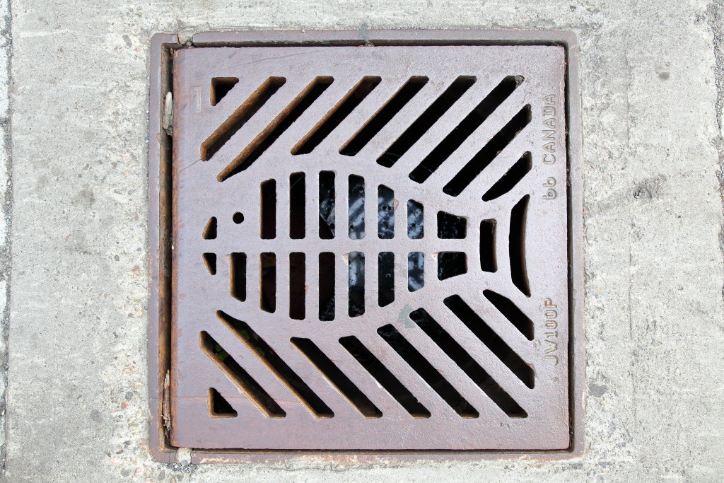 EIT's tweet photo. Not only for seafood lovers: a particularly elegant example of an "only rain down the drain" storm-sewer grate, reminding us to protect the health of our waterways, Montreal https://t.co/x8YFPT7oRr