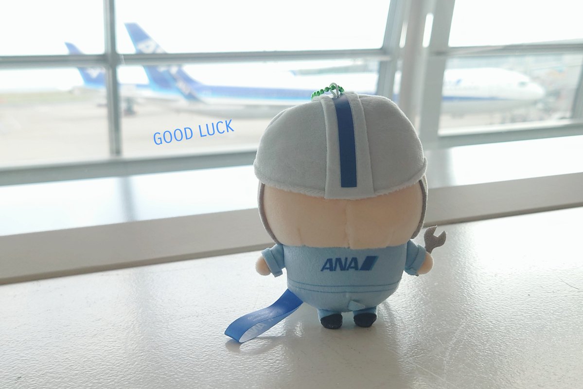 maiko_pocket's tweet photo. はやおきしたよ🐻
いってきまーす✈️ https://t.co/1gHBiL8z9P