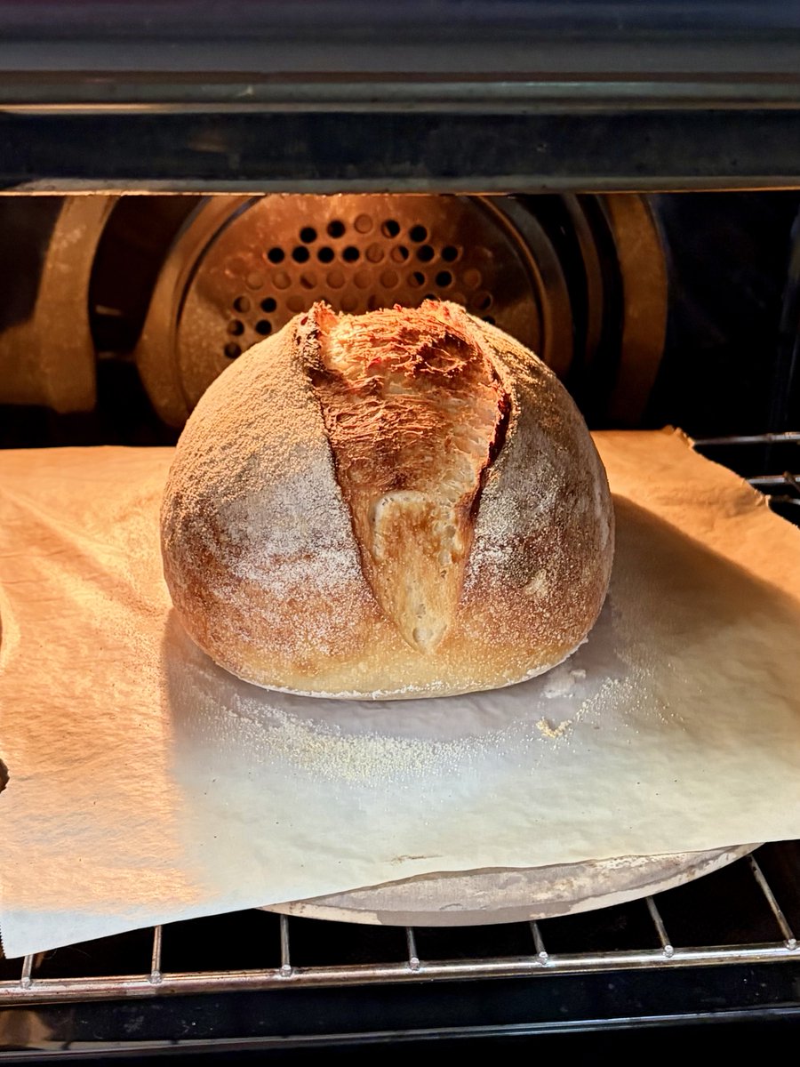 Deano631New's tweet photo. First loaf I've baked in a few weeks ... came out a ripper, thought I'd get it over and done with early since it's gonna be another warm one ☀️🔥 https://t.co/szsZRpGIZU