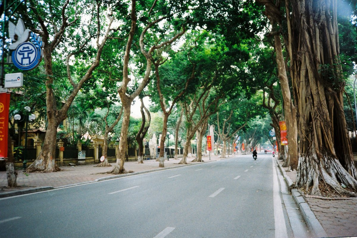 AxtonPKGrantSmF's tweet photo. Thong dong Hà Nội sáng mùng 1 Tết, lưu lại bằng Kodak Pro Image 100. https://t.co/VfhrHgqvF4