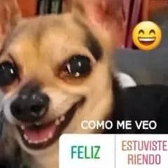evngelog's tweet photo. como se siente cuando pasas la materia que creías perdida https://t.co/qUpnbVTJN1
