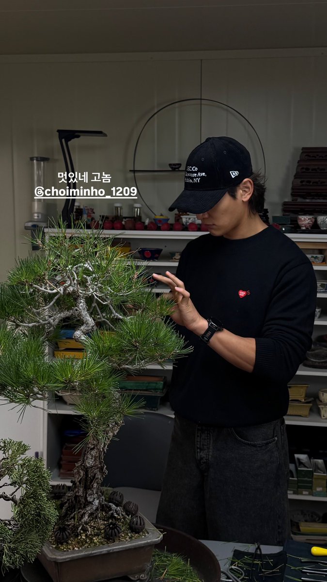 AllAbtChoiMinho's tweet photo. @SHINee @shinetter 261023. <Bonsai>
~Bonsai day for Minho
#MINHO #๋ฏผํธ #์ต๋ฏผํธ #CHOIMINHO #ใใณใ #SHINeeMinho #์ค์ด๋๋ฏผํธ #SHINee #์ค์ด๋ @SHINee @shinetter https://t.co/plhHQIWkW6