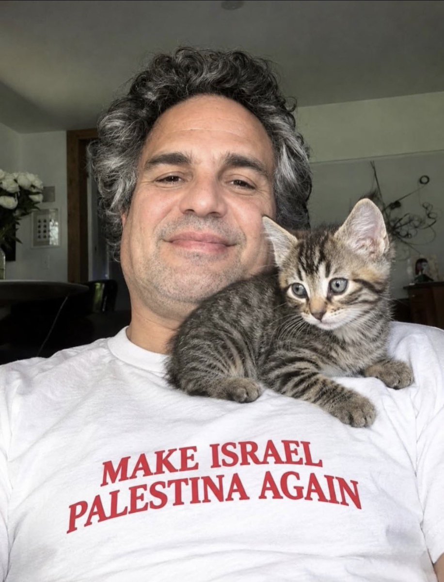 voiceofgaza_x's tweet photo. Make Isreal Palestine Again. https://t.co/AR8xK9q7zN
