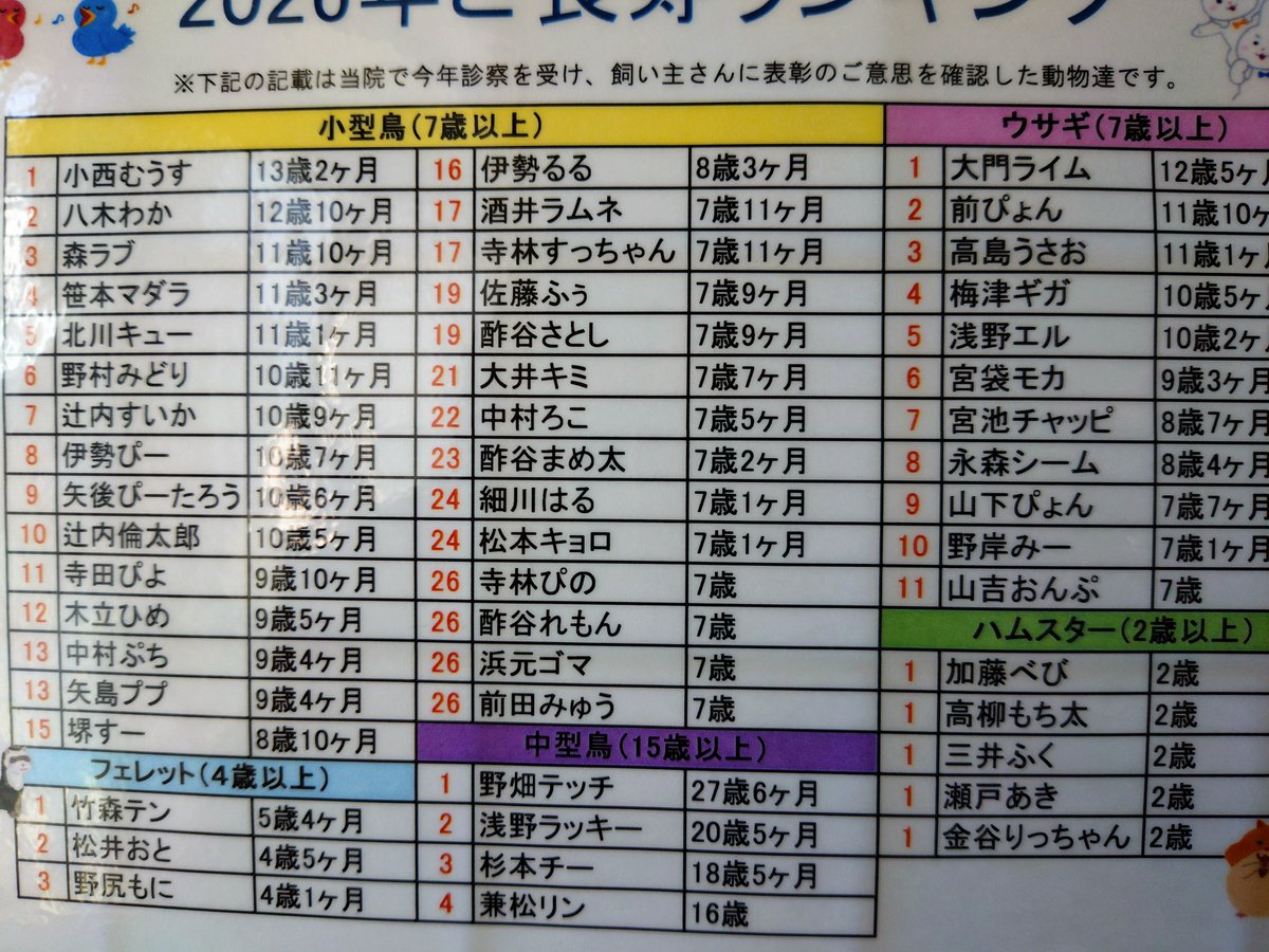 honamii1226's tweet photo. お世話になってる動物病院の御長寿ランキング〜未だに中型以上の鳥さんに病院内で出会ったことないんだよなぁ。いつか会えるといいな。 https://t.co/c5BZaBaiGO