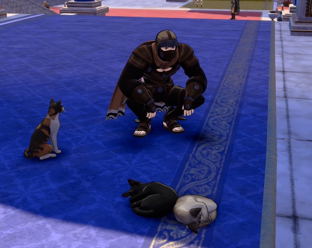redxcranberry's tweet photo. my favorite dagison npc is the guy in a cape and sandals with a man boob window doing an asian squat next to some cats outside of Smyrnos’ temple https://t.co/FQztinranj
