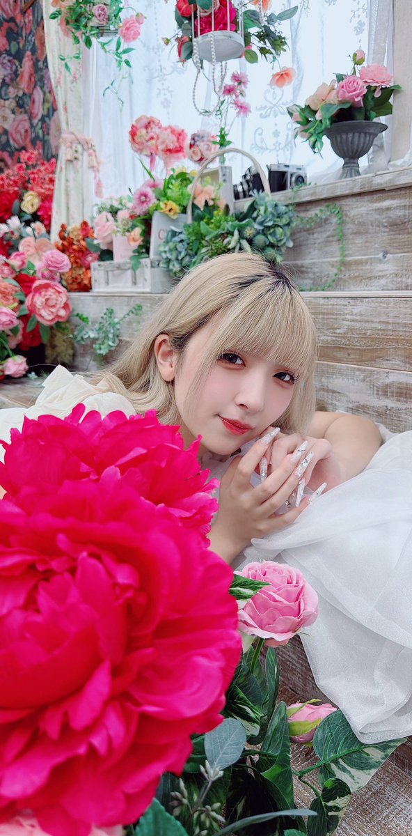 nikugaarebasati's tweet photo. 2026/09/27

ルミナス撮影会　4部 vol.10

model
ぺちさん
@shinguil_pechi

┈┈┈┈┈┈✰⋆｡:ﾟ･*☽

#ルミナス撮影会
#よごもといっしょ
#ポートレート https://t.co/jXuXghv51L