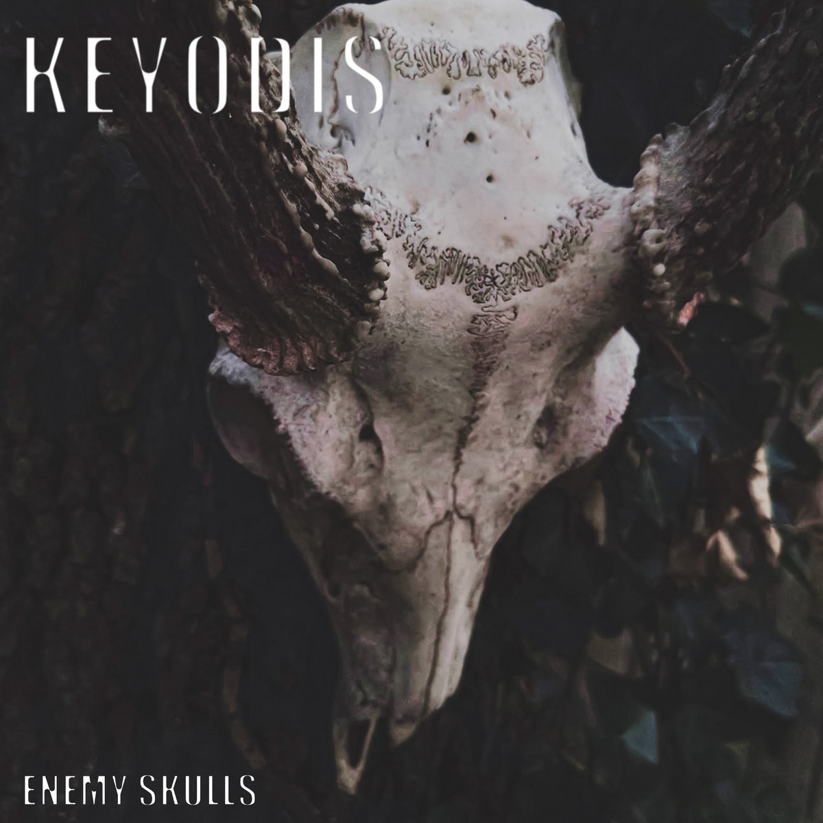 MetalResource's tweet photo. Album Review:  Keyodis – Enemy Skulls

https://t.co/VAXWJ4tzQ8

#Keyodis #EnemySkulls #TheCharonCollective @charoncollect https://t.co/gAQ4NvVeJX