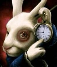 scarabiaskoo's tweet photo. @raccoonrouIette that’s gonna be you soon https://t.co/Pn79aOdp23