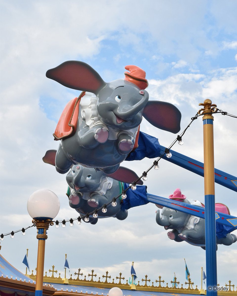 TDR_PR tweet picture