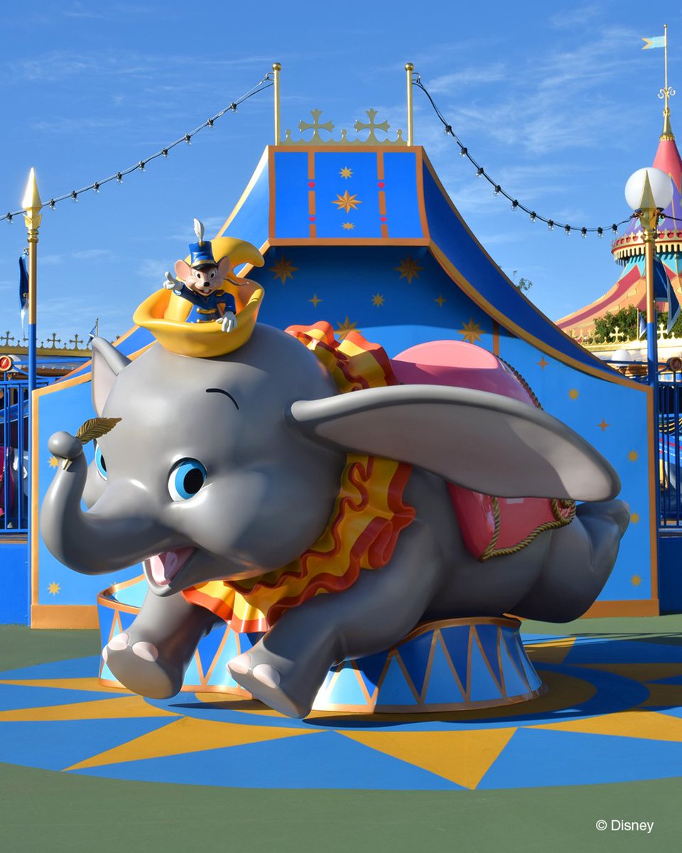 TDR_PR tweet picture