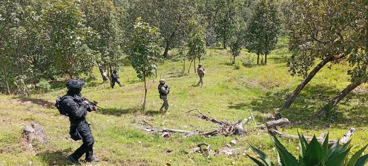 SSPGro's tweet photo. En distintas localidades de Ajuchitlán del Progreso, elementos de la Base de Operaciones Interinstitucionales (BOI) mantienen recorridos de seguridad y vigilancia, que también comprenden acciones de búsqueda de una persona reportada como no localizada.

En estas labores participan la Policía Estatal, el Ejército Mexicano y la Guardia Nacional, con reconocimientos terrestres en Pocitos del Balcón, el crucero de La Desdicha y Chilacayote.