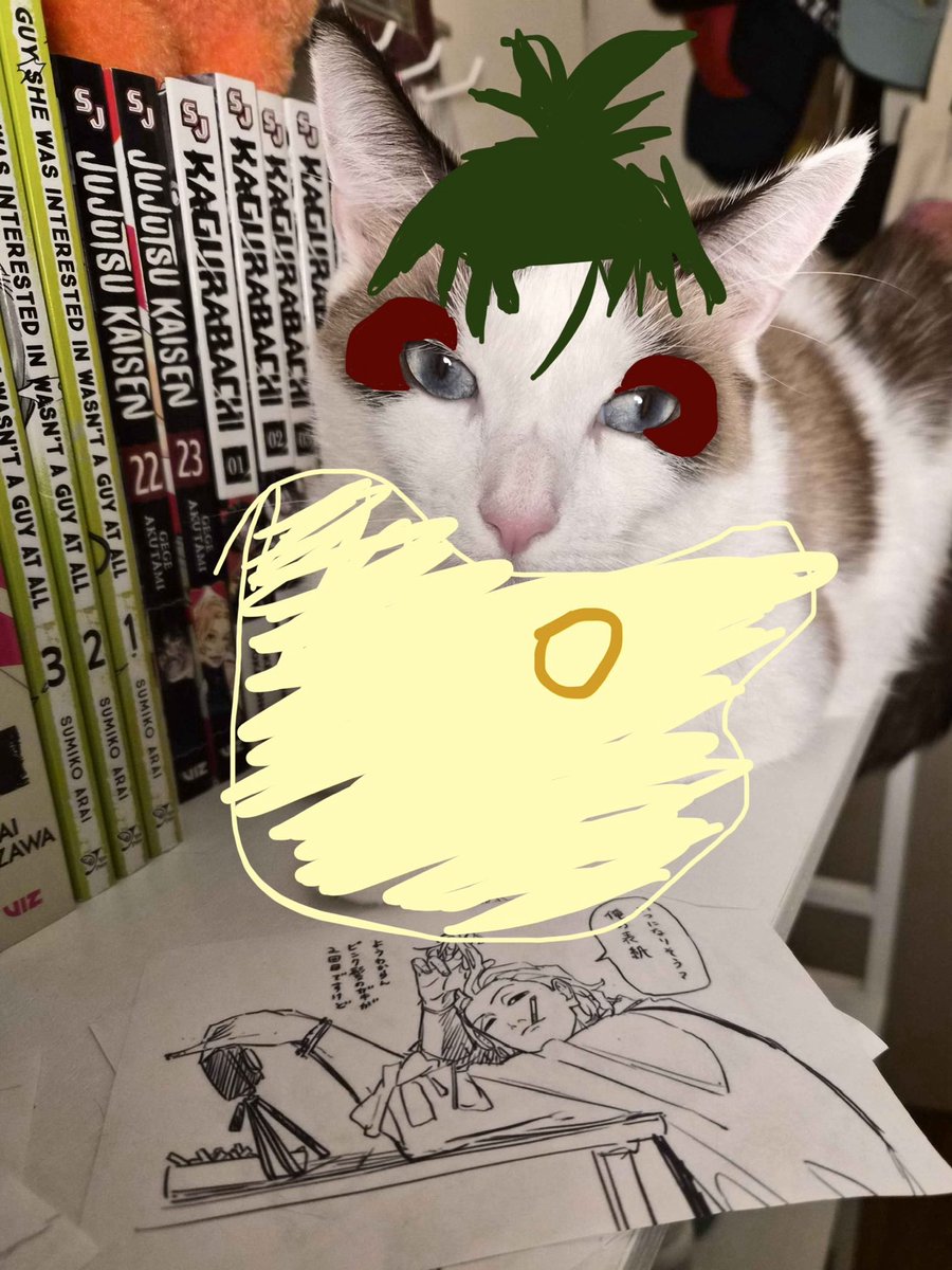 uruhasponytail's tweet photo. my friends cat kinda has eye markings like uruha so whenever they send a pic i get the urge to uruhafi him. so a compilation of my weatheruhas https://t.co/Y8qjg876N9