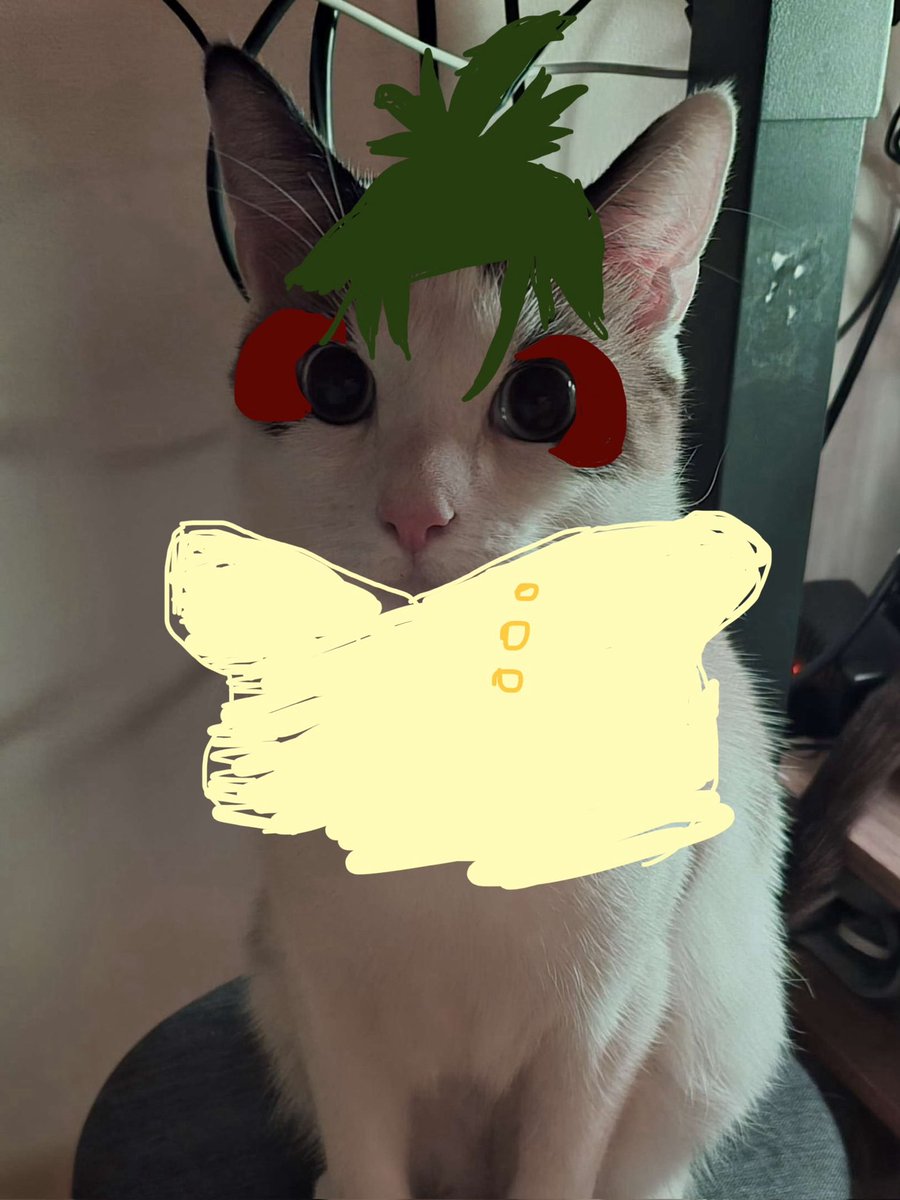 uruhasponytail's tweet photo. my friends cat kinda has eye markings like uruha so whenever they send a pic i get the urge to uruhafi him. so a compilation of my weatheruhas https://t.co/Y8qjg876N9