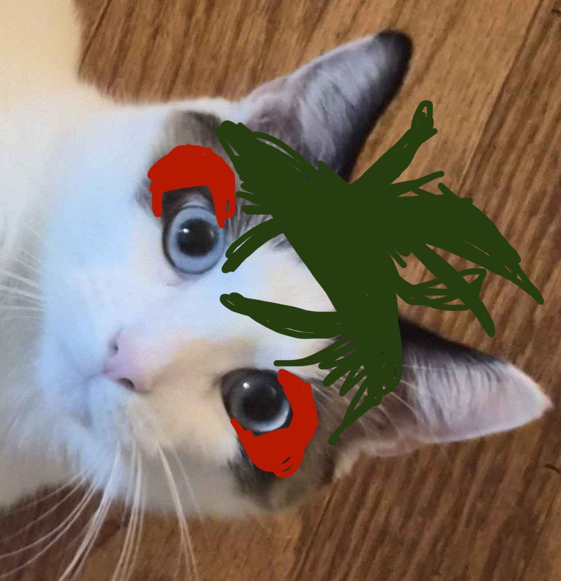uruhasponytail's tweet photo. my friends cat kinda has eye markings like uruha so whenever they send a pic i get the urge to uruhafi him. so a compilation of my weatheruhas https://t.co/Y8qjg876N9