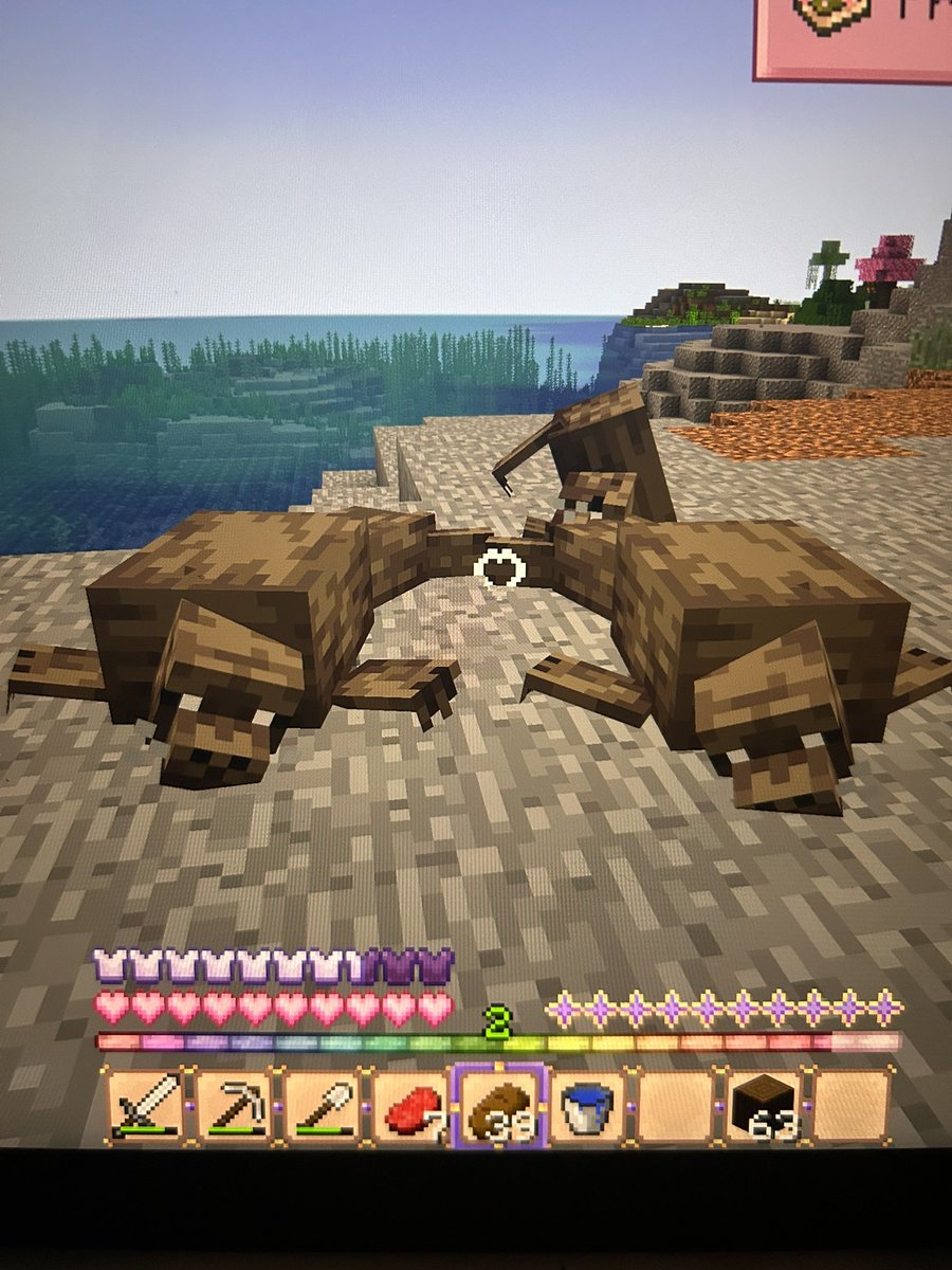 wokedog's tweet photo. #LockatsLair currently adventuring and found an island AND LOOK AT THEMMM https://t.co/1EOmwUDu9G