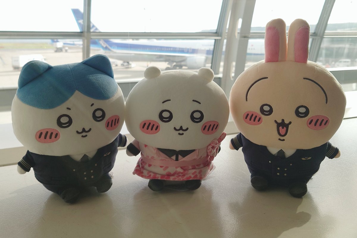 maiko_pocket's tweet photo. 大きい子もかわいー🫶 https://t.co/CRP0sAZgTA