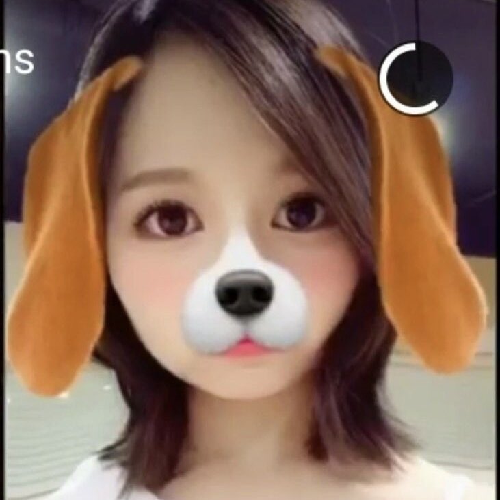 mimitan3797's tweet photo. thinking about puppy mina https://t.co/dAhTJf1mwe