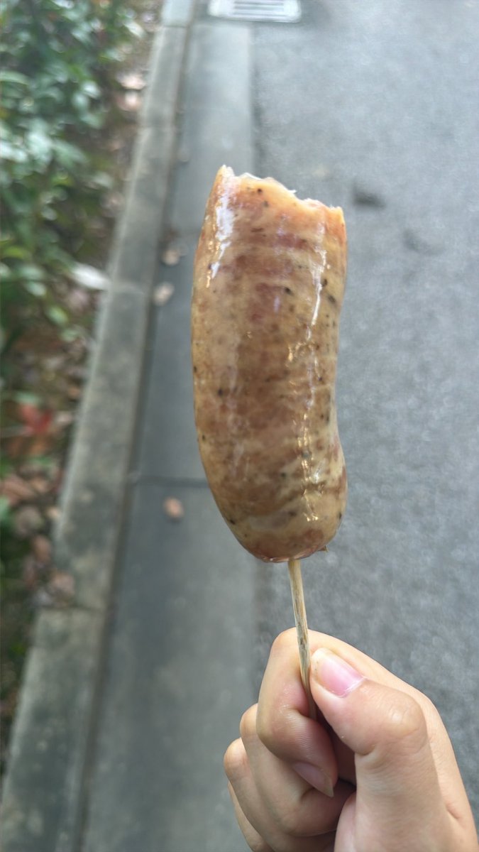 Czhj95's tweet photo. 黑胡椒烤肠！😋 https://t.co/TLzbPr2zLb