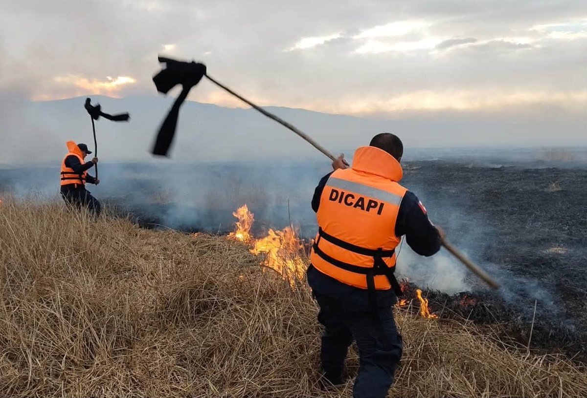 DiegoCortazar98's tweet photo. El imbécil de Rafael Belaunde 
a enviado a la gente de Dicapi 
a apagar los incendios en Puno 

¿Adivinen con qué?

Con palos y trapos, ah pero 
para darle dinero a empresas 
privadas primeros ¡Indignante! https://t.co/3u4VVEMKOK