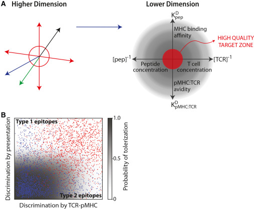 Cancer_Cell's tweet photo. Online Now: The neoantigen quality model: Is closer to self more non-self? dlvr.​it/TW1qtq https://t.co/qtspNhFrd2