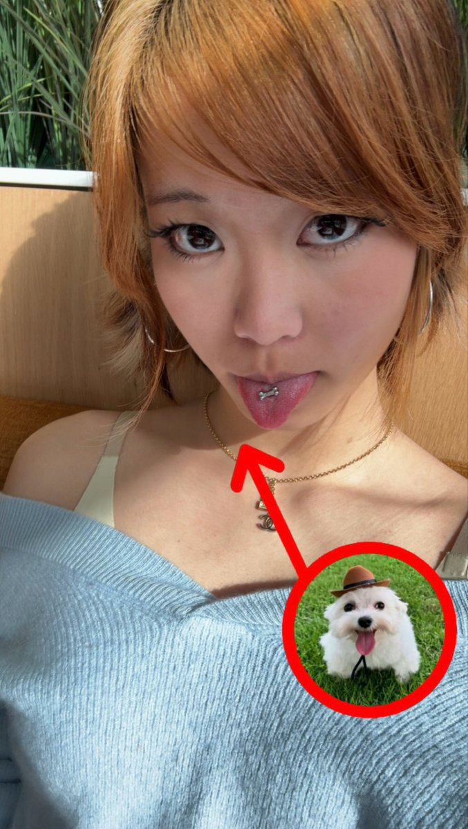 hateaikoo's tweet photo. sorry my joke was too funny it made me wet ;(

#asian #japanese https://t.co/D6j2xP9YDO