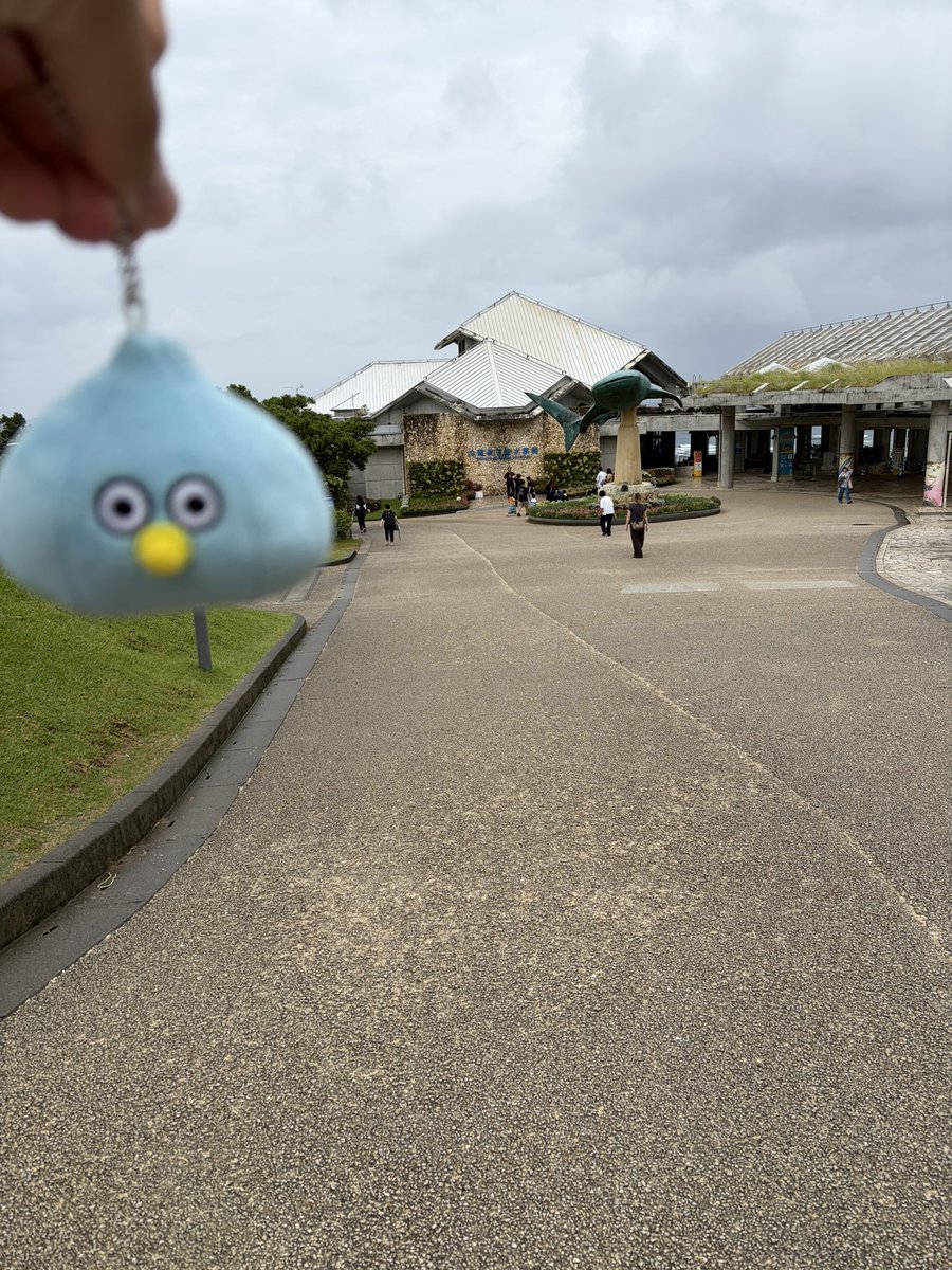 KnMBXKBqqfJEUm0's tweet photo. 台風の影響はちょい強い風だけ！
雨は全然無し！
美ら海水族館に着いたぞ！ https://t.co/Kueg96NZLU