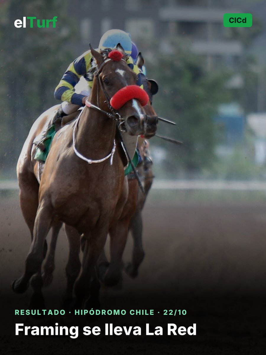 ElTurf's tweet photo. 🐎 Framing se lleva La Red

La crónica completa 👉 https://t.co/ZY88qCWNb9 https://t.co/9ZSmQDUI0o