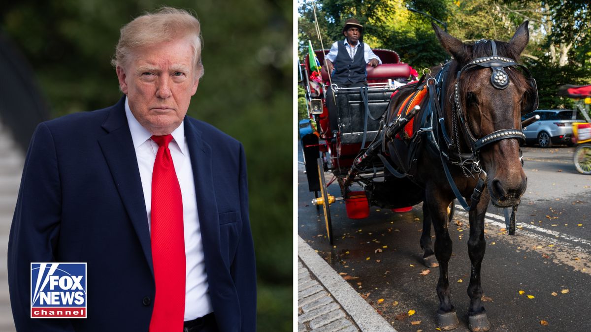 FoxNews's tweet photo. Nearly 170 years of New York City tradition could soon come to an end, and President Trump is not happy about it.

The City Council votes 40-7 to ban horse-drawn carriage rides by June 2028, following the death of an 18-year-old who was thrown from a runaway carriage in Central Park.

Trump calls the move "so sad," while furious carriage drivers threaten to take the city to federal court, arguing the ban puts their livelihoods at risk.

Now, a legal battle could be brewing. See how drivers are fighting back: https://t.co/pqMR4e8IN7