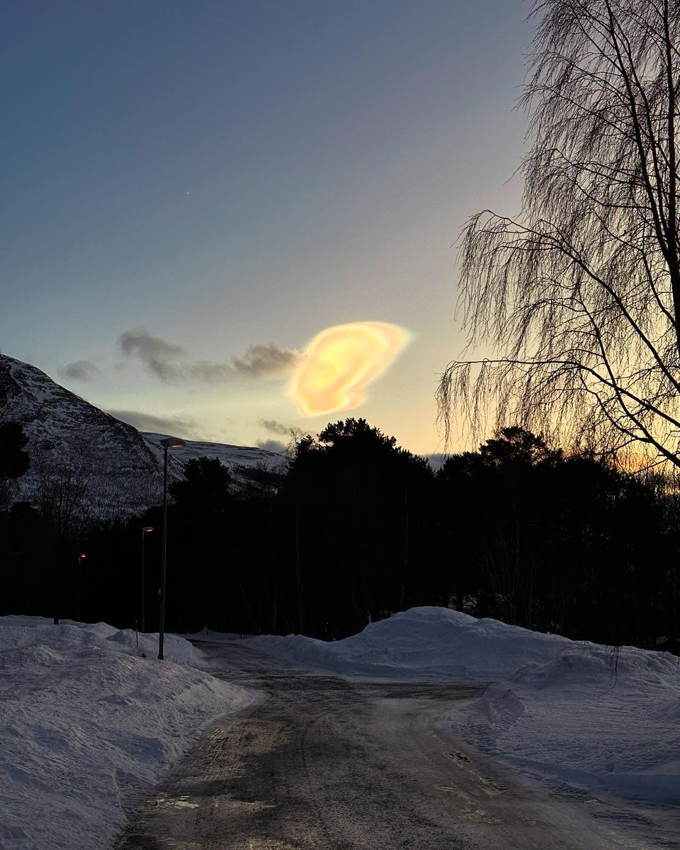 a_morgany375's tweet photo. Dagens mest fotograferte perlemorsky. Å klart. https://t.co/gFqqWN2pPt
