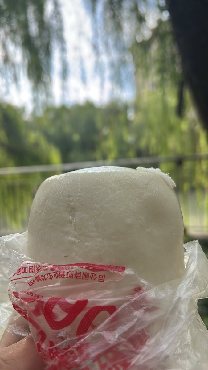 jiutianmeng's tweet photo. 今日份早饭。白馒头！白似古玉，微微清甜，稻香满口，腹中暖暖。 https://t.co/Nn19v5hV4Q