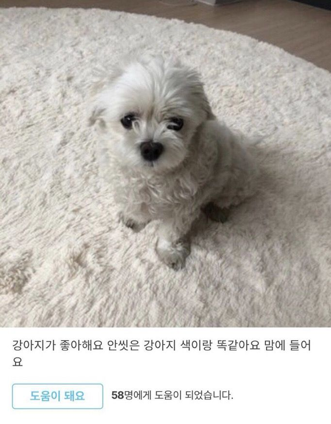 allmyheart319's tweet photo. 안 씻은 강아지색이랑 똑같아요 https://t.co/tUkpad6H9Q